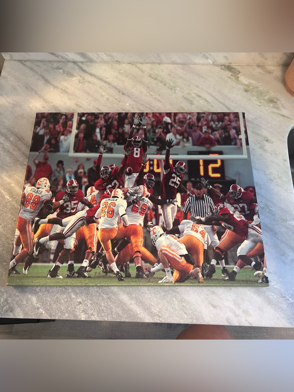 Alabama Crimson Tide "Maximum Block" Canvas Art Print (Rocky Block)
